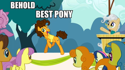 Size: 960x540 | Tagged: safe, edit, edited screencap, screencap, bon bon, caramel, carrot top, cheese sandwich, golden harvest, lemon hearts, mayor mare, parasol, sweetie drops, earth pony, pegasus, pony, unicorn, g4, pinkie pride, the last roundup, behold, best pony, female, glasses, male, mare, meme, stallion, truth