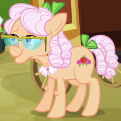 Size: 238x238 | Tagged: safe, screencap, apple rose, earth pony, pony, apple family reunion, g4, cropped, cutie mark, elderly, female, glasses, hooves, mare, solo