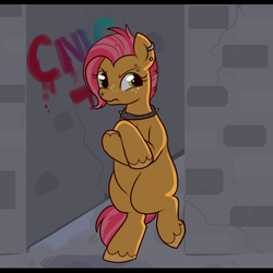 Size: 500x500 | Tagged: safe, artist:lulubell, babs seed, pony, g4, alley, bipedal, female, graffiti, piercing, solo