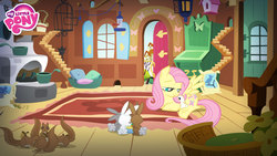 Size: 1920x1080 | Tagged: safe, angel bunny, fluttershy, rabbit, squirrel, g4, official, restore the elements of magic, animal, bedroom eyes, cute, fluttershy's cottage, fluttershy's cottage (interior), game, hasbro, looking down, my little pony logo, shyabetes, wallpaper