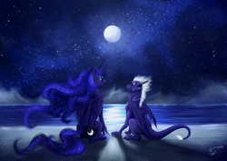 Size: 3500x2480 | Tagged: safe, artist:dalagar, princess luna, oc, oc:teurus, dragon, g4, looking at each other, looking at someone, moon, moonlight, night, ocean, sitting, stars, water