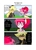 Size: 1005x1401 | Tagged: safe, artist:thegreatrouge, applejack, pinkie pie, anthro, g4, my little pony: friendship is magic, pinkie apple pie, ambiguous facial structure, comic, sparkles