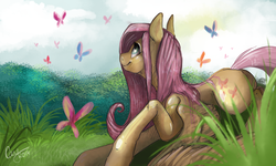 Size: 2500x1500 | Tagged: safe, artist:casynuf, fluttershy, butterfly, g4, female, grass, solo