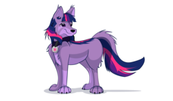 Size: 4000x2333 | Tagged: safe, artist:ostichristian, twilight sparkle, dog, g4, collar, cutie mark collar, dogified, female, pet tag, simple background, solo, species swap, transparent background, twilight barkle
