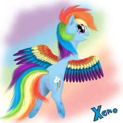 Size: 800x800 | Tagged: safe, artist:the1xeno1, rainbow dash, g4, colored wings, female, multicolored wings, rainbow power, rainbow wings, solo