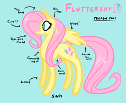 Size: 2655x2185 | Tagged: safe, artist:saliantsunbreeze, fluttershy, g4, female, solo