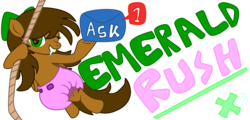 Size: 8000x3855 | Tagged: safe, artist:emerald rush, oc, oc only, oc:emerald rush, pegasus, pony, ask emerald rush, absurd resolution, ask, banner, diaper, female, non-baby in diaper, poofy diaper, rope, solo, tumblr