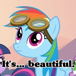 Size: 318x318 | Tagged: safe, edit, edited screencap, screencap, rainbow dash, spike, twilight sparkle, g4, hurricane fluttershy, caption, cropped, goggles, image macro, offscreen character, reaction image, solo focus