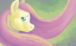 Size: 900x550 | Tagged: safe, artist:teezybird, fluttershy, g4, female, solo