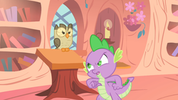 Size: 1054x592 | Tagged: safe, screencap, owlowiscious, spike, g4, my little pony: friendship is magic, owl's well that ends well