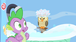 Size: 1054x592 | Tagged: safe, screencap, owlowiscious, spike, bird, owl, g4, my little pony: friendship is magic, owl's well that ends well, duo, duo male, hat, male, shower, shower cap