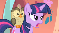 Size: 1054x592 | Tagged: safe, screencap, owlowiscious, twilight sparkle, g4, my little pony: friendship is magic, owl's well that ends well