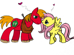 Size: 2592x1936 | Tagged: safe, artist:icypinkbubbles, big macintosh, fluttershy, earth pony, pony, g4, colored, male, ship:fluttermac, shipping, sketch, stallion, straight