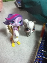 Size: 720x960 | Tagged: safe, gilda, dog, griffon, skunk, g4, animal, female, littlest pet shop, pepper clark, zoe trent