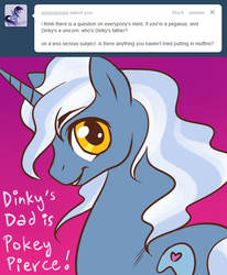 Size: 654x795 | Tagged: safe, pokey pierce, ask derpyhooves, g4, male, solo, tumblr