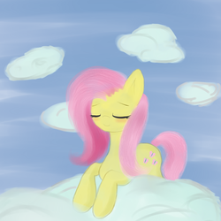 Size: 800x800 | Tagged: safe, artist:coldsolstice, fluttershy, g4, cloud, cloudy, female, solo