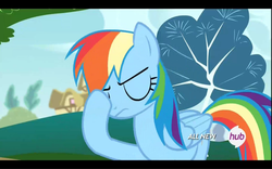 Size: 1680x1050 | Tagged: safe, screencap, rainbow dash, g4, rainbow falls, facehoof, female, hub logo, solo