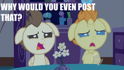 Size: 1366x768 | Tagged: safe, pound cake, pumpkin cake, g4, meme, why would you post that