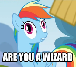 Size: 320x283 | Tagged: safe, rainbow dash, g4, rainbow falls, are you a wizard, derp, female, image macro, reaction image, solo