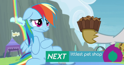 Size: 1152x609 | Tagged: safe, screencap, rainbow dash, g4, rainbow falls, youtube caption