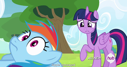 Size: 1152x609 | Tagged: safe, screencap, rainbow dash, twilight sparkle, alicorn, pony, g4, rainbow falls, female, mare, meme, twilight sparkle (alicorn), youtube caption