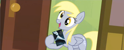 Size: 1050x425 | Tagged: safe, derpy hooves, pegasus, pony, g4, my little pony: friendship is magic, rainbow falls, book, derpy's flag, exploitable meme, female, fifty shades of grey, mare, meme, solo