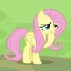 Size: 450x450 | Tagged: safe, screencap, fluttershy, pony, g4, rainbow falls, season 4, animated, female, laughing, solo