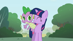 Size: 1054x592 | Tagged: safe, screencap, spike, twilight sparkle, dragon, pony, bridle gossip, g4, dragons riding ponies, riding, spike riding twilight