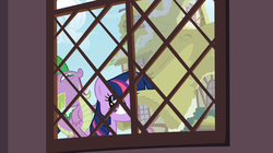 Size: 1054x592 | Tagged: safe, screencap, spike, twilight sparkle, dragon, pony, bridle gossip, g4, dragons riding ponies, riding, spike riding twilight