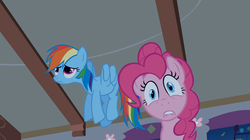 Size: 1054x592 | Tagged: safe, screencap, pinkie pie, rainbow dash, bridle gossip, g4