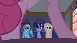 Size: 1054x592 | Tagged: safe, screencap, fluttershy, pinkie pie, rainbow dash, twilight sparkle, bridle gossip, g4, my little pony: friendship is magic, framed by legs