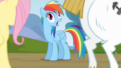 Size: 1280x717 | Tagged: safe, screencap, bulk biceps, fluttershy, rainbow dash, pegasus, pony, g4, my little pony: friendship is magic, rainbow falls, butt, derp, female, imitation, mare, plot, rainbow derp