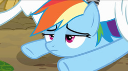 Size: 1280x717 | Tagged: safe, screencap, bulk biceps, rainbow dash, g4, my little pony: friendship is magic, rainbow falls, unamused