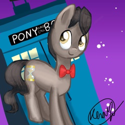 Size: 2048x2048 | Tagged: safe, eleventh hour, earth pony, pony, g4, bowtie, digital art, eleventh doctor, male, signature, solo, stallion, tardis