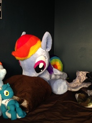 Size: 1536x2048 | Tagged: artist needed, safe, artist:whitewolf creations, rainbow dash, g4, cute, irl, photo, plushie