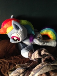 Size: 1536x2048 | Tagged: artist needed, safe, artist:whitewolf creations, rainbow dash, g4, irl, photo, plushie