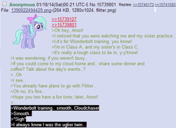 Size: 508x369 | Tagged: safe, cloudchaser, flitter, g4, /mlp/, 4chan, 4chan screencap, greentext, meta, rejection, rejection is magic, sad, text