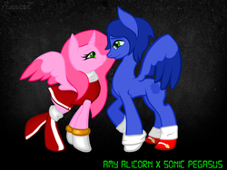 Size: 1024x768 | Tagged: safe, artist:despair-ado, artist:rosesx, alicorn, pony, alicornified, amy rose, female, male, ponified, race swap, shipping, sonic the hedgehog, sonic the hedgehog (series), straight