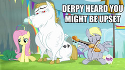 Size: 1280x720 | Tagged: safe, artist:dtkraus, edit, screencap, bulk biceps, derpy hooves, fluttershy, pegasus, pony, g4, rainbow falls, all new, caption, female, hub logo, hubble, image macro, mare, musical instrument, reaction image, text, the grey one's glorious return, the hub, violin, welcome back derpy, you seem upset