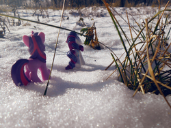Size: 1521x1141 | Tagged: safe, artist:synch-anon, rarity, twilight sparkle, g4, irl, photo, snow, toy, winter