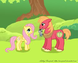 Size: 987x810 | Tagged: safe, artist:snowpeak, big macintosh, fluttershy, smarty pants, earth pony, pony, g4, male, ship:fluttermac, shipping, stallion, straight