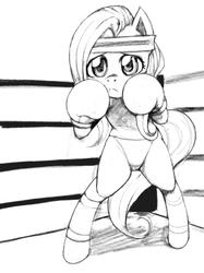 Size: 1023x1365 | Tagged: safe, artist:pugilismx, fluttershy, pony, g4, bipedal, boxing, clothes, female, foxy boxing, monochrome, panties, solo, underwear