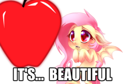 Size: 800x542 | Tagged: safe, artist:r0tii, fluttershy, bat pony, pony, bats!, g4, cute, female, flutterbat, image macro, race swap, shyabates, shyabetes, solo