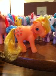 Size: 716x960 | Tagged: safe, applejack (g1), g1, irl, lauren faust, photo, toy