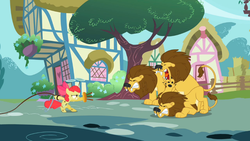 Size: 969x545 | Tagged: safe, screencap, apple bloom, big cat, lion, g4, the cutie pox, lion tamer, loop-de-hoop, plate spinning, stool, whip