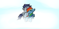 Size: 900x450 | Tagged: safe, artist:luxleberry, rainbow dash, soarin', g4, female, male, ship:soarindash, shipping, straight