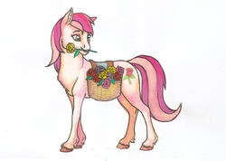Size: 4536x3230 | Tagged: safe, artist:ackryllis, roseluck, g4, basket, female, flower, flower in mouth, mouth hold, rose, simple background, solo, traditional art, unshorn fetlocks, white background