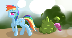 Size: 1875x1000 | Tagged: safe, artist:malwinters, rainbow dash, scootaloo, g4, bush