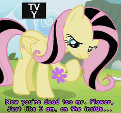 Size: 622x582 | Tagged: safe, edit, screencap, fluttershy, g4, rainbow falls, comic sans, depressed, emo, emoshy, female, flower, sad, solo