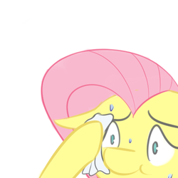 Size: 500x500 | Tagged: artist needed, safe, fluttershy, g4, :t, female, floppy ears, popped a molly, reaction image, simple background, solo, sweat, sweating towel guy, white background, wide eyes